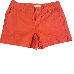 Loft Shorts Coral Size 8